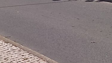 Monta em moto de amigo e morre a seguir em despiste em Almada