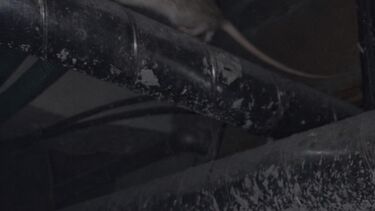 Infestação de ratos nos tetos de esquadra da PSP em Vila Nova de Gaia