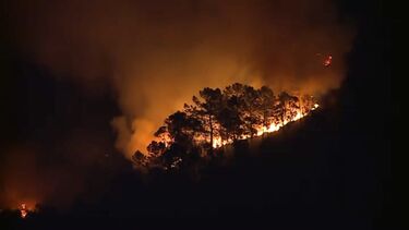 Incêndio em Vale de Cambra terá sido provocado por queimada não autorizada que se descontrolou