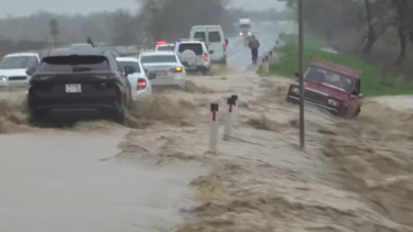 Imagens mostram cheias e estragos provocados por chuvas intensas na Rússia 