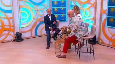 OBD SELO VERDE OEIRAS