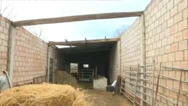 Fenómeno de vento extremo destruiu telhados e partiu árvores em aldeia de Vinhais