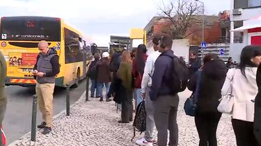 Greve do metro de Lisboa deixa longas filas de pessoas que optam por apanhar autocarro em Sete Rios 