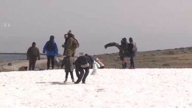 Turistas queimam últimos cartuxos na neve da Serra da Estrela, quatro meses depois dos primeiros nevões 