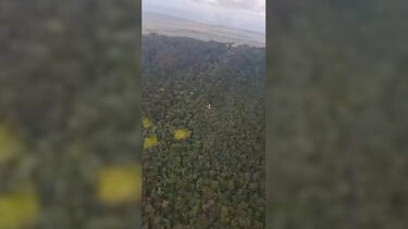 Imagens mostram destroços de avião após queda no meio da selva no Brasil