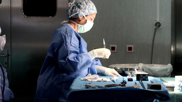 Cirrose ainda é a principal causa de transplantes hepáticos em Portugal