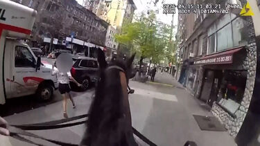 Imagens mostram polícia montado a cavalo a perseguir mulher suspeita de roubo nas ruas de Nova Iorque 