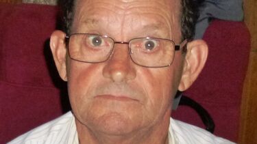 Idoso morre esmagado por eucalipto de grande porte em Oliveira de Frades