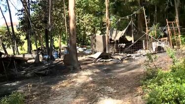 Incêndio destrói barracão agrícola no concelho de Coimbra