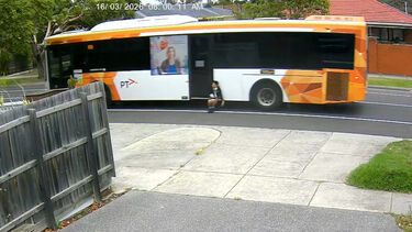 Menino de 12 anos fica preso em porta de autocarro e acaba arrastado no meio do trânsito na Austrália