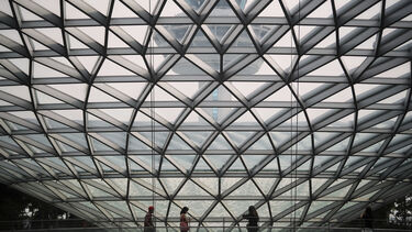 Português detido em Singapura com mais de 36 quilogramas de canábis