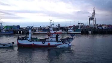 Pescadores navegam num 'mar de incertezas': Profissionais consideram que setor em Portugal está "condenado"