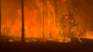 Incêndio florestal de grandes dimensões obriga população a abandonar casas nos EUA