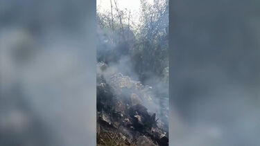 Imagens mostram destroços de avião após queda com 14 mortos no Sudão do Sul