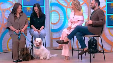 Conheça o projeto “O Lado Cão da Vida”