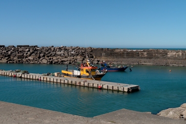 Pescadores desesperados com aumentos dos preços 
