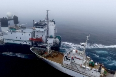 Imagens aéreas mostram a colisão de navio de ativistas com barco de pesca na Antártica 