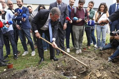 Seguro planta medronheiro em Proença-a-Nova sob o olhar atento da comunicação social