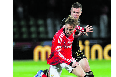 Schjelderup tenta fugir a Livolant