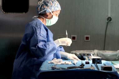 Há quem precise de um fígado em Portugal e tenha de esperar um ano pelo órgão