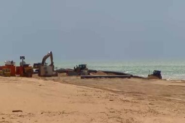 Arrancaram as obras de alimentação artificial de areia em praias do Algarve. Intervenção "pode terminar a meio de maio"