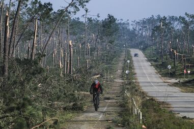 Mata Nacional de Leiria após comboio de tempestades que assolou o País