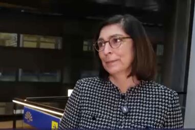 Conheça a mulher que já foi deputada do PS, presidente do grupo parlamentar e agora eurodeputada do Parlamento Europeu 