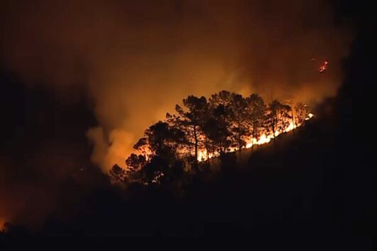 Incêndio em Vale de Cambra terá sido provocado por queimada não autorizada que se descontrolou
