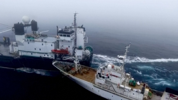 Imagens aéreas mostram a colisão de navio de ativistas com barco de pesca na Antártica 
