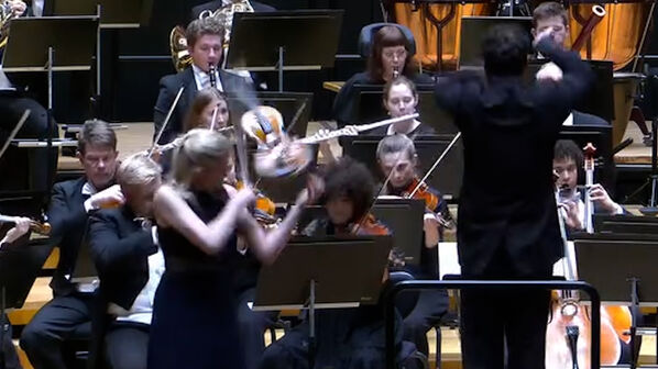 Violino de um milhão de euros “voa” em palco após toque acidental do maestro