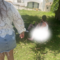 Turistas filmados a fazer sexo em jardim junto a resort de Albufeira
