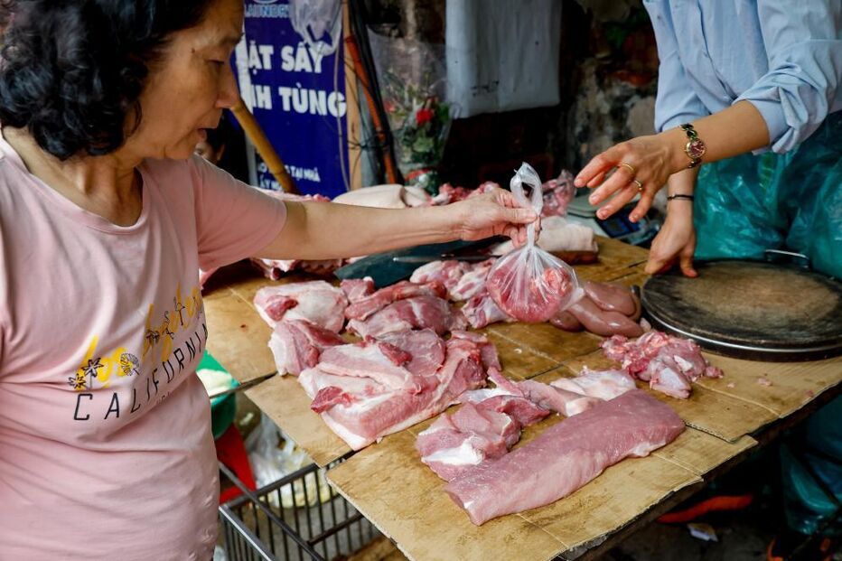 Carne de porco no Vietname estava contaminada com uma peste suína africana