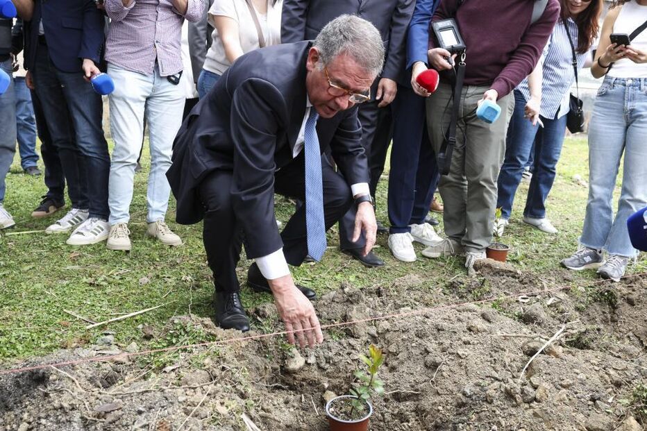 Marcelo planta medronheiro em Proença-a-Nova