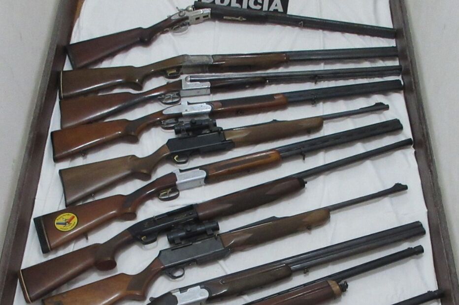 PSP retira das ruas 294 armas ilegais