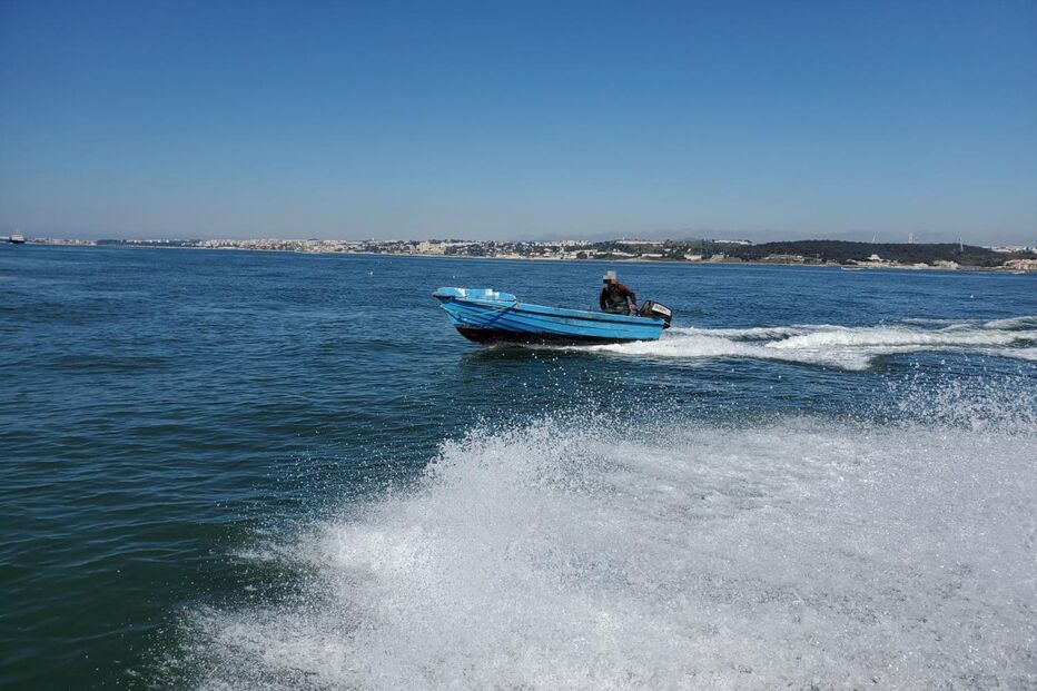 Pescador navega no Tejo, onde a lampreia volta a surgir, mas a recuperação exige atenção.
