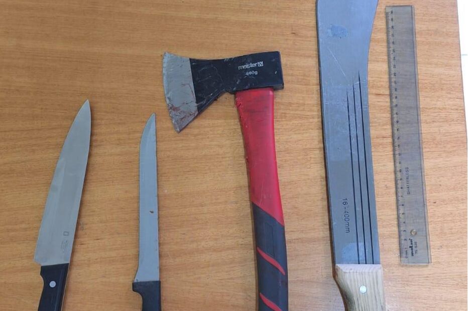 Jovem detido após destruir apartamento e receber PSP de catana na mão em Braga