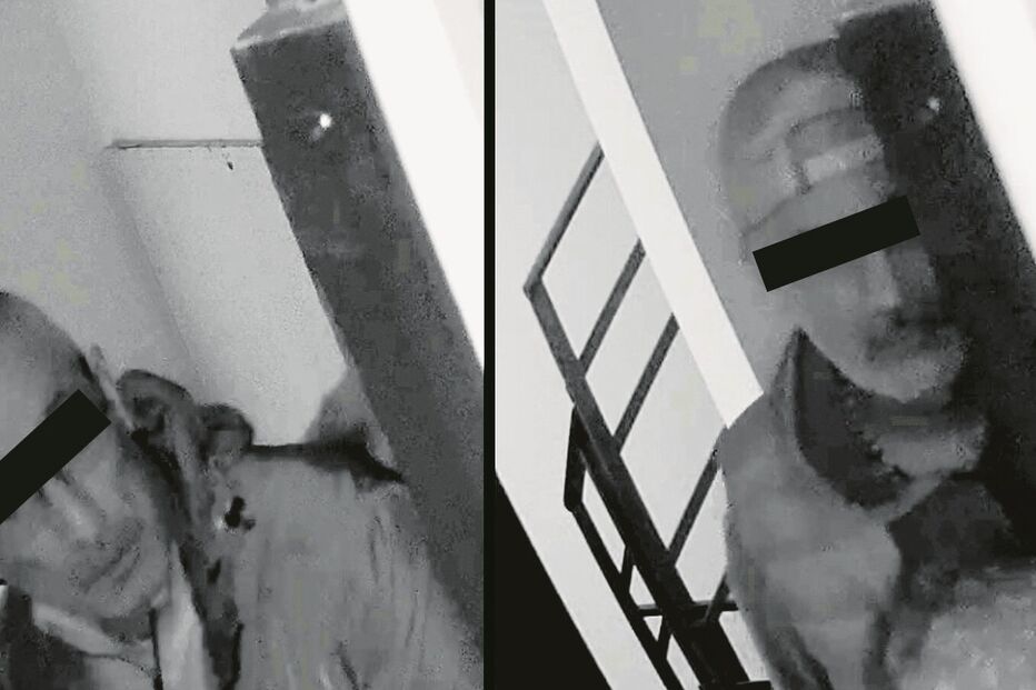 Ladrões foram apanhados por uma câmara de videovigilância