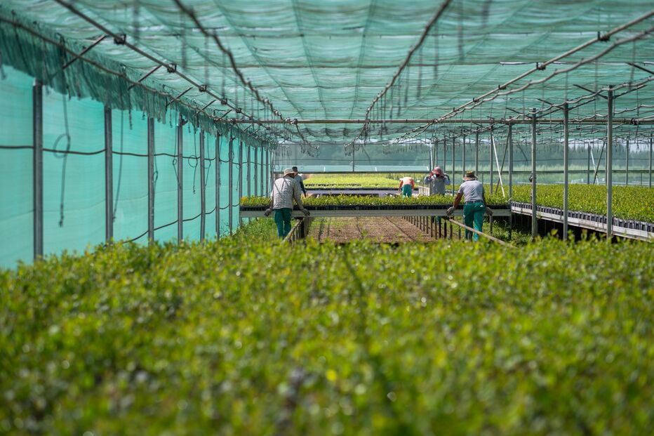 C-Studio_Navigator Espirra_Setubal-097.jpg