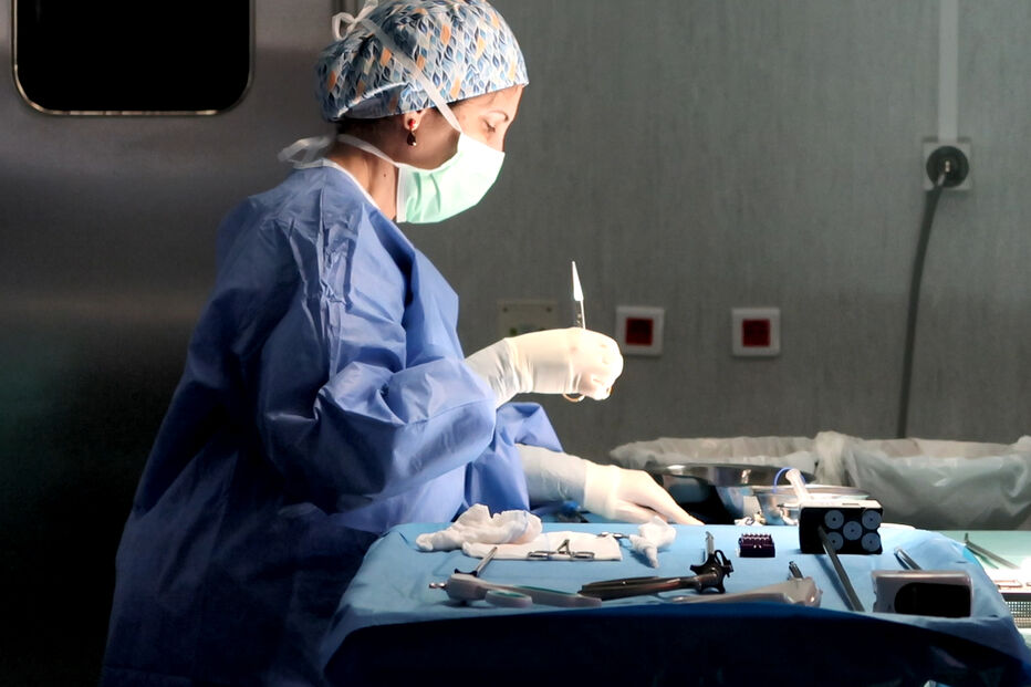 Primeiro _HIT_transpl (50490212).jpg