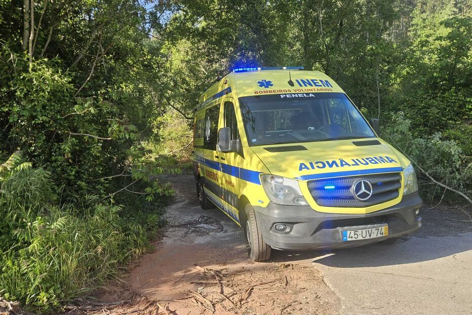 Camião betoneira despista-se e cai em vala em Penela. Condutor está encarcerado