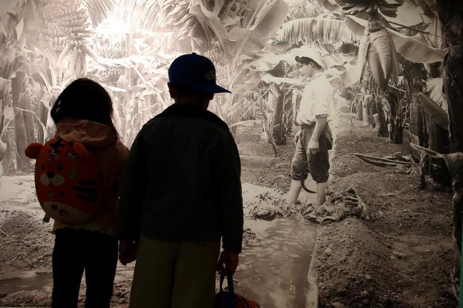 Centro Interpretativo da Banana na Madeira