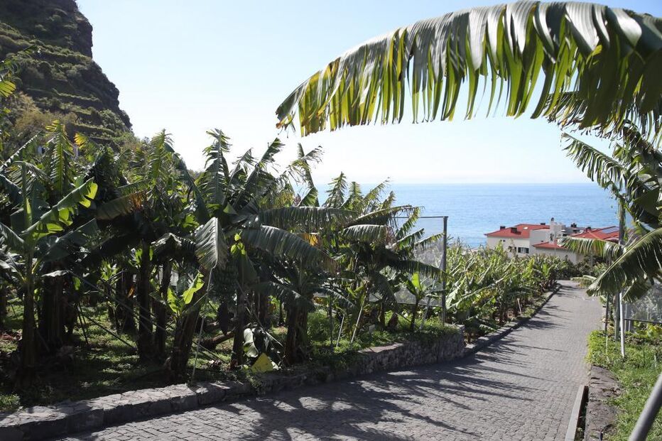 Centro Interpretativo da Banana na Madeira