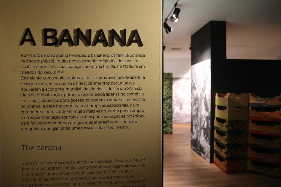Centro Interpretativo da Banana na Madeira