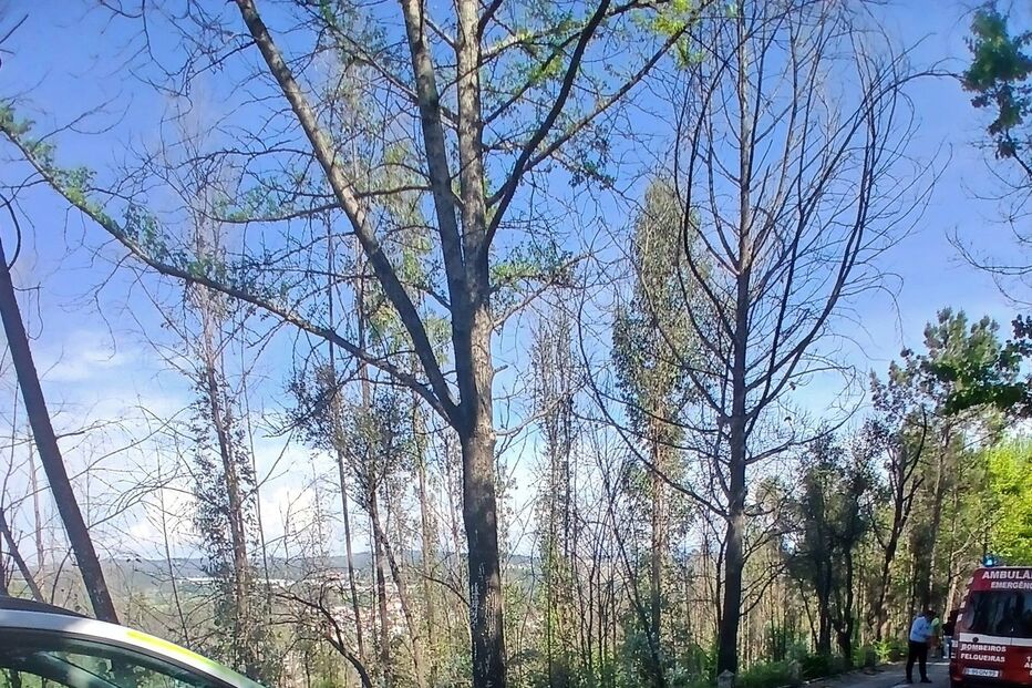 Ocorrência mobilizou vários operacionais