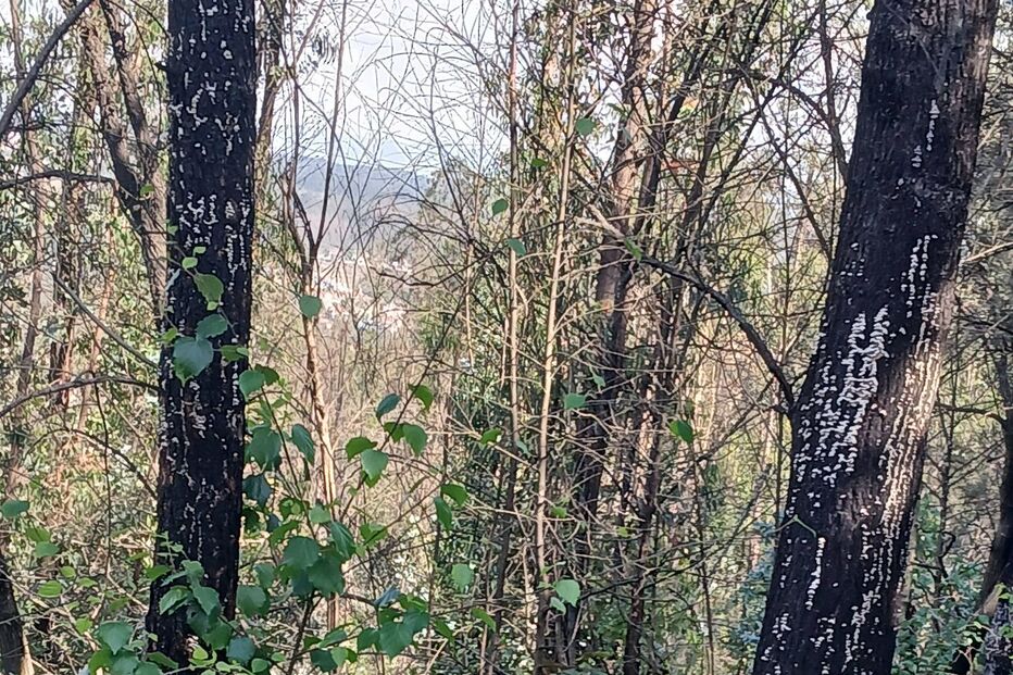 Acidente envolveu quatro veículos