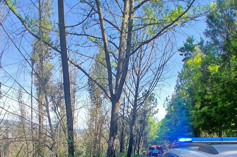 GNR tomou conta da ocorrência