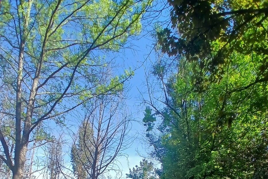 Acidente ocorreu na Alameda de Santa Quitéria