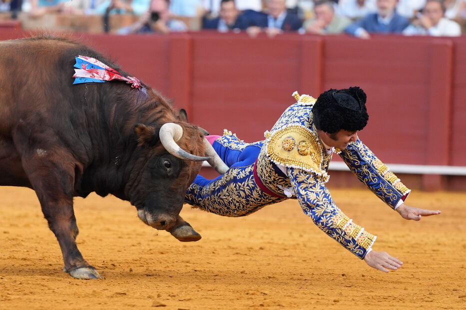 Matador Morante de La Puebla colhido por touro em Espanha, sofre perfuração retal