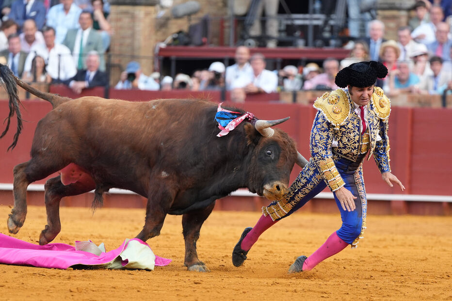 Morante de La Puebla, toureiro espanhol, sofre perfuração retal em Sevilha