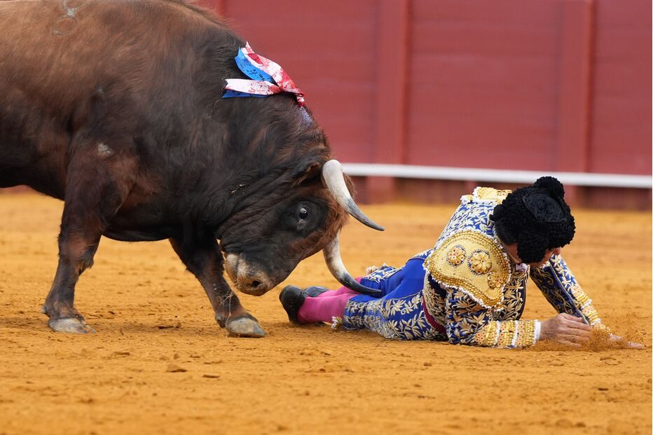Morante de La Puebla sofre colhida grave em Sevilha, com perfuração retal